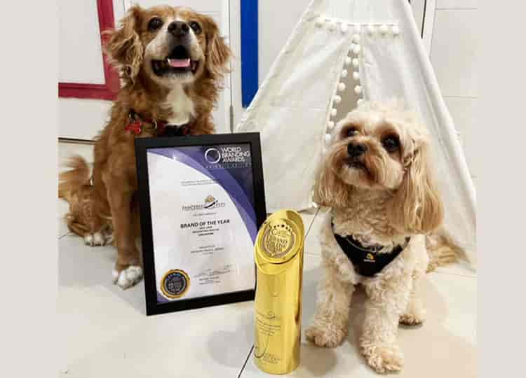 5% Off Dog Boarding Services