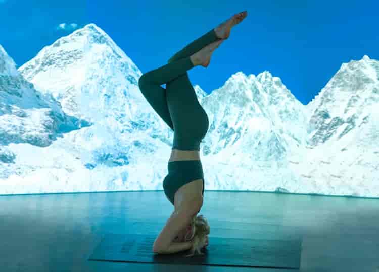 1 Immersive Yoga Class 