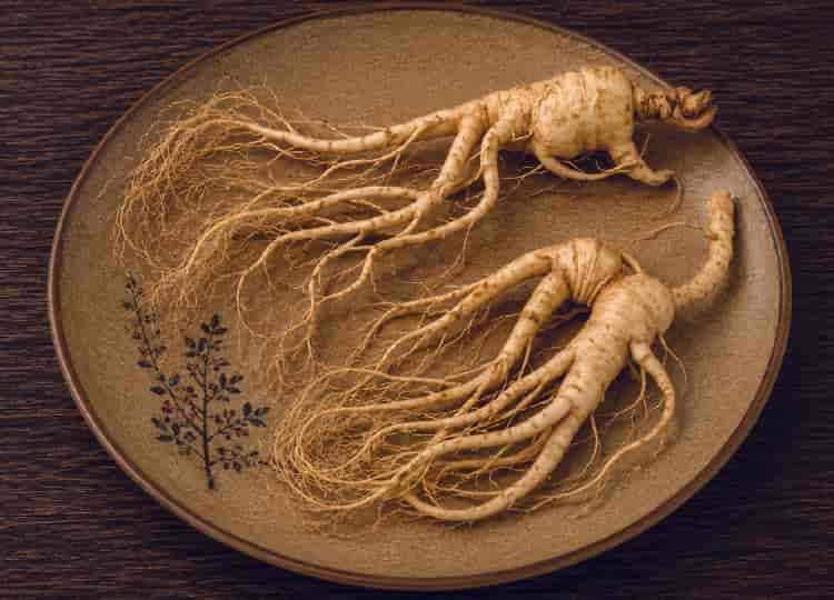 15% Off Wild Chinese Ginseng (with Min. Purchase)