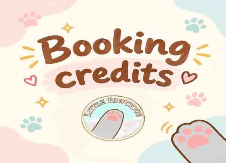 SGD 250 Promo Code