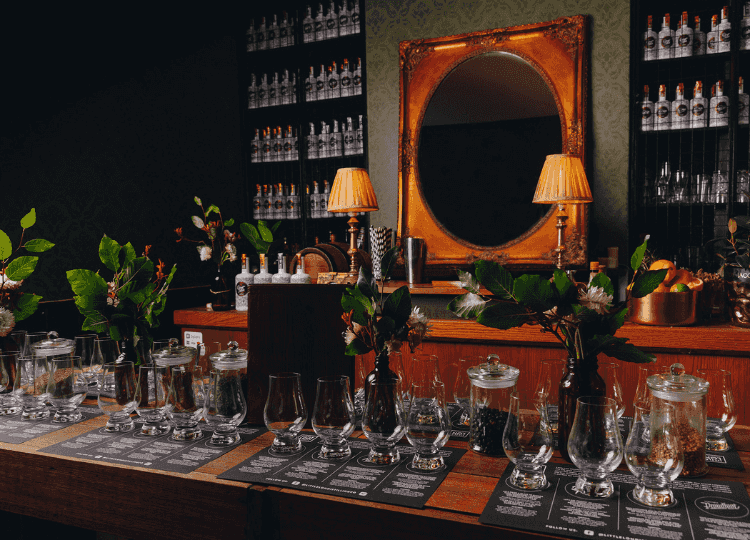 Premium Gin Masterclass Experience