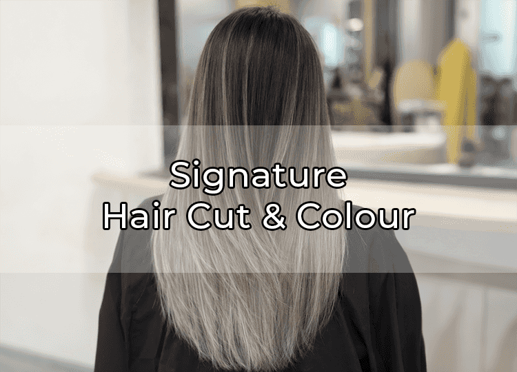 Signature Hair Cut & Colour
